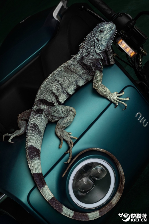 小牛電動車新版發布 價格真信仰!