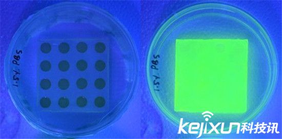 智能繃帶對抗細菌感染 每年可拯救上萬人