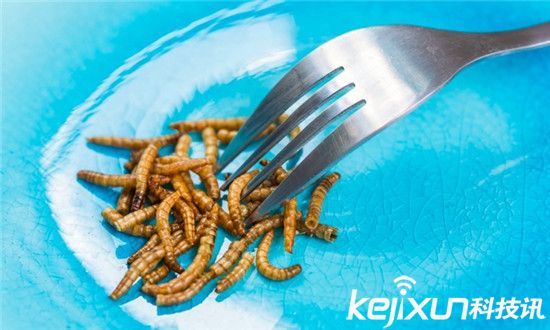 CES2016:手機 汽車 VR以及一地炒作