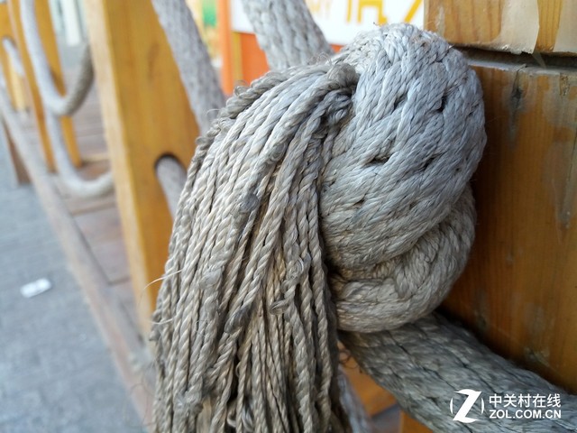 畫質不輸旗艦 三星Galaxy A5拍照體驗