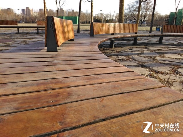 今天的室外溫度到了零下4、5度左右,公園里的長椅上都沒有人歇息了。