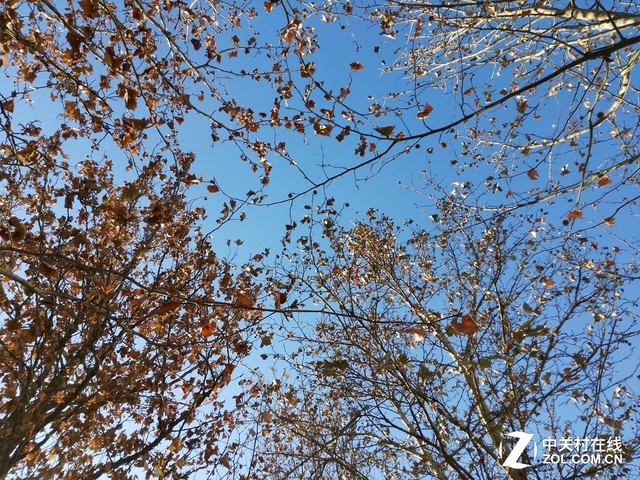 翻轉鏡頭看世界 榮耀7i拍照功力深度解析