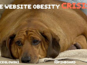 Meta標簽與搜索引擎優化