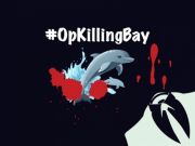 抗議捕殺海豚 黑客怒破日本機(jī)場(chǎng)