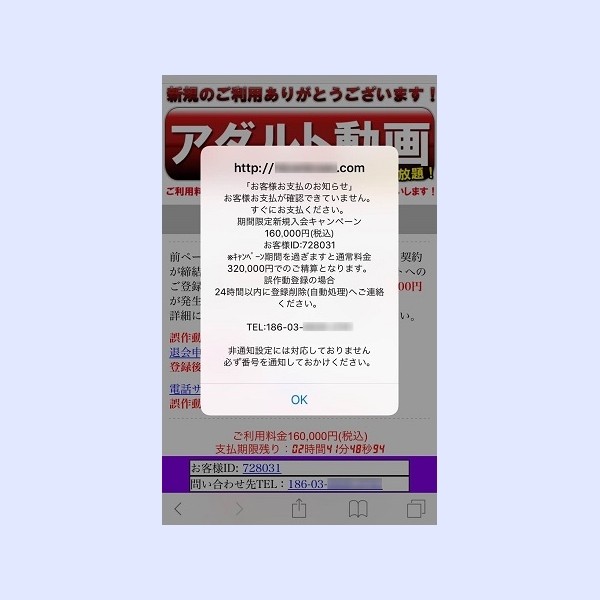 網絡詐騙 網絡病毒 惡意程序