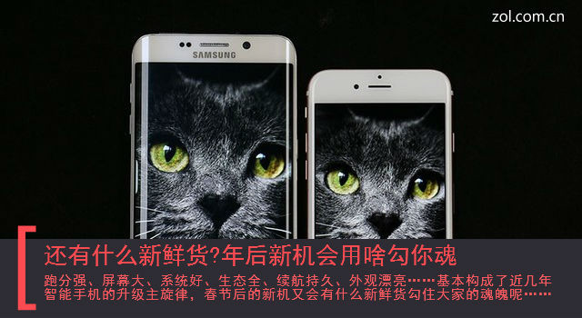 還有什么新鮮貨?年后新機會用啥勾你魂