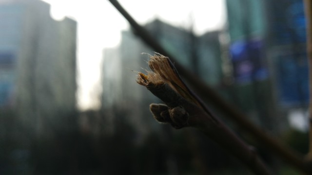 AXON天機(jī)MAX評測(待整理)