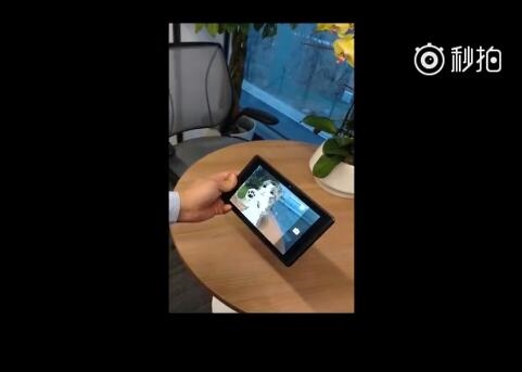 聯想手機老大 在手機相機里“養”了一只貓