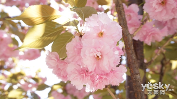 Alienware杯駕臨北交大,LOL神們速來報道!