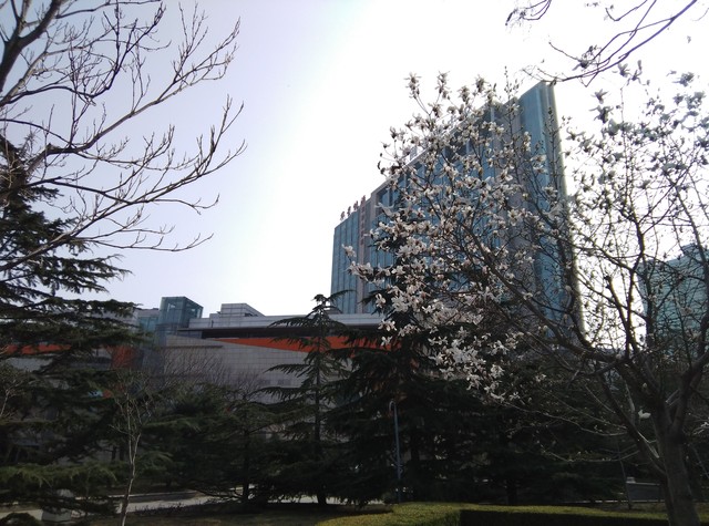 酷派鋒尚pro2評(píng)測