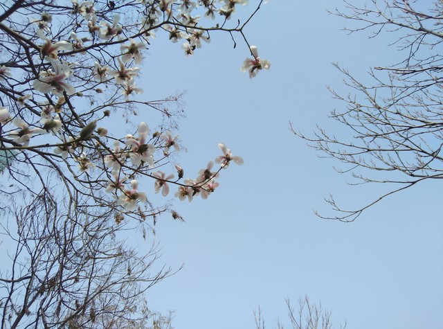 酷派鋒尚pro2評(píng)測