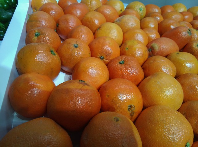 酷派鋒尚pro2評(píng)測