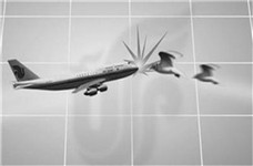 無人機多功能卻慘遭禁止？誤撞飛機留后患