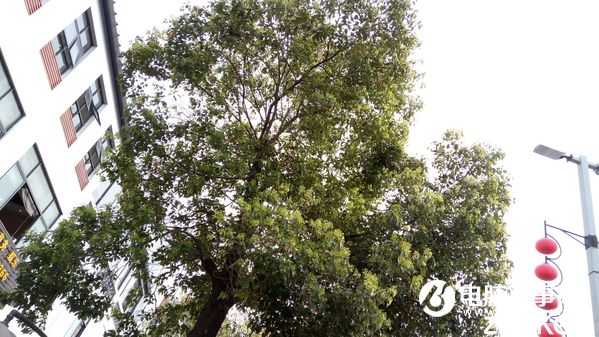 樂檬K5 Note怎么樣 聯(lián)想樂檬K5 Note評測