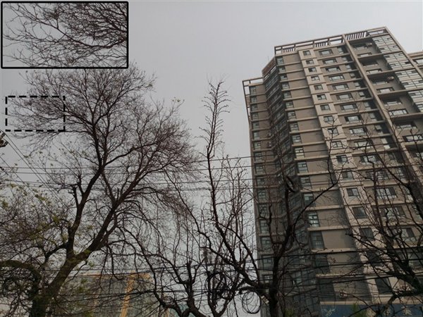 樣張差距不明顯 魅族PRO6與魅藍note3拍照對比