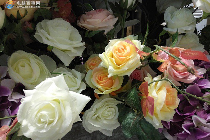 生態PK體驗 樂2和紅米Note3系統與拍照對比