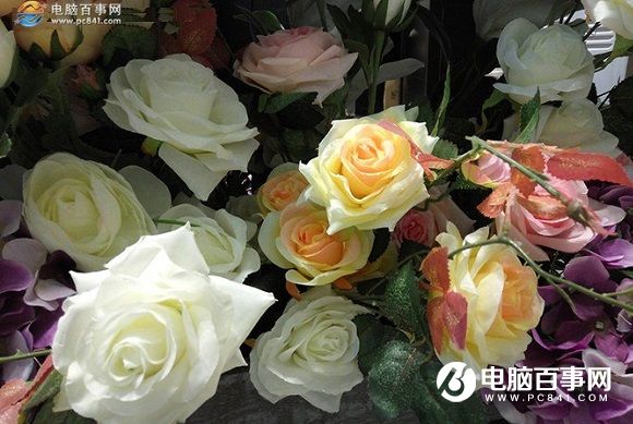 相機(jī)PK 榮耀5C和紅米Note3拍照樣張對比