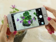 外觀將大變 4.7/5.5的iPhone 7你怎么選