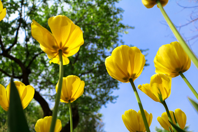 留住春天的色彩 佳能EOS 80D試用體驗