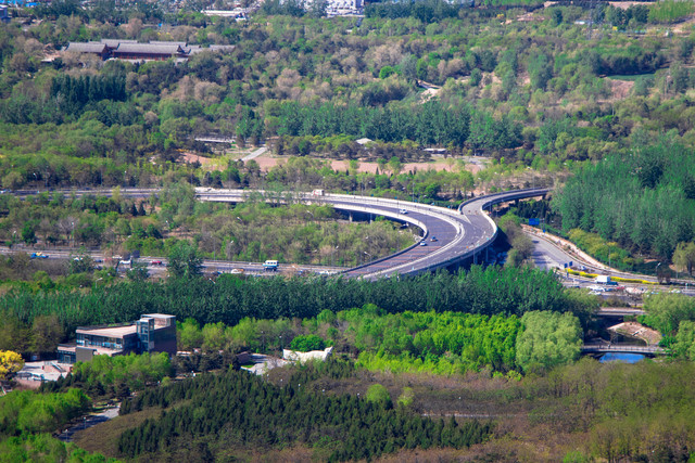 留住春天的色彩 佳能EOS 80D試用體驗