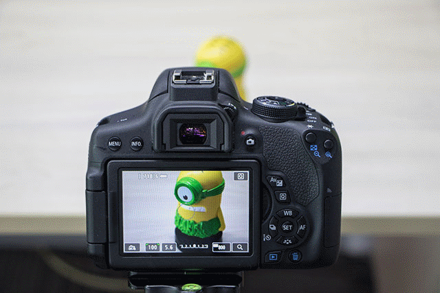 新手進(jìn)階班 相機(jī)的對(duì)焦功能究竟怎么用