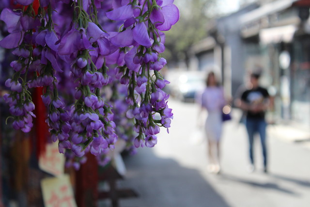 便宜實用入門機 佳能EOS 1300D單反評測 