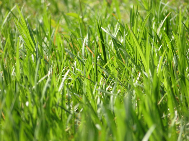 口袋里的40倍變焦 佳能SX720 HS評(píng)測