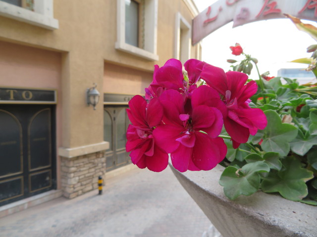 口袋里的40倍變焦 佳能SX720 HS評(píng)測