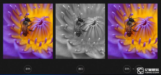 華為 P9 Plus評測：顏值+能力雙重擔當者