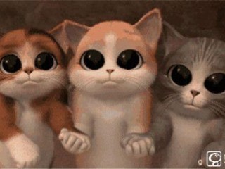 小米Max迎面對撞榮耀V8：八大回合誰能勝出？