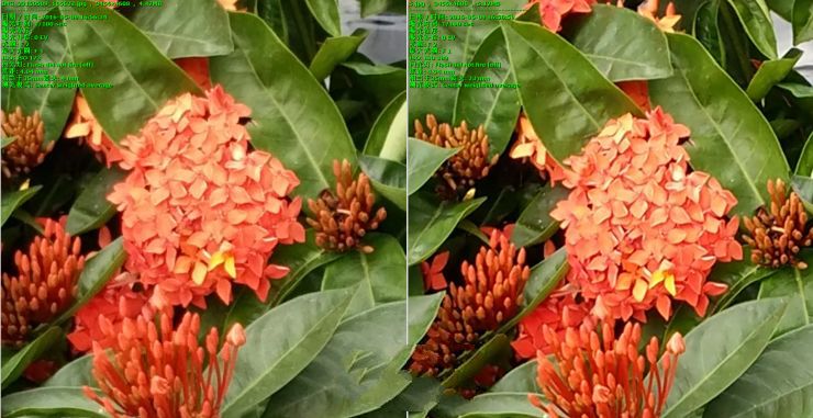 內戰！ vivo Xplay5頂配版 VS 標準版拍照評測