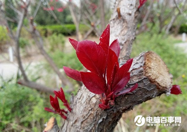 指紋升級 魅藍note3和魅藍metal區別對比