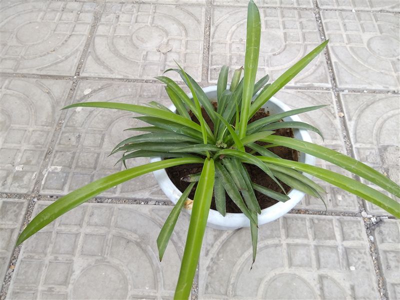 6.44寸黃金大屏!小米Max深度評測:續航驚人