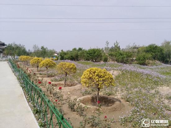 華為G9評測:與華為P9/榮耀V8定位不同