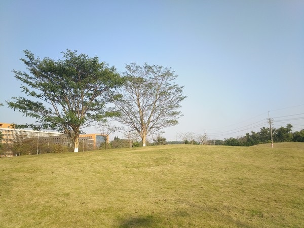 vivo Xplay5和OPPO R9系統(tǒng)與拍照對(duì)比