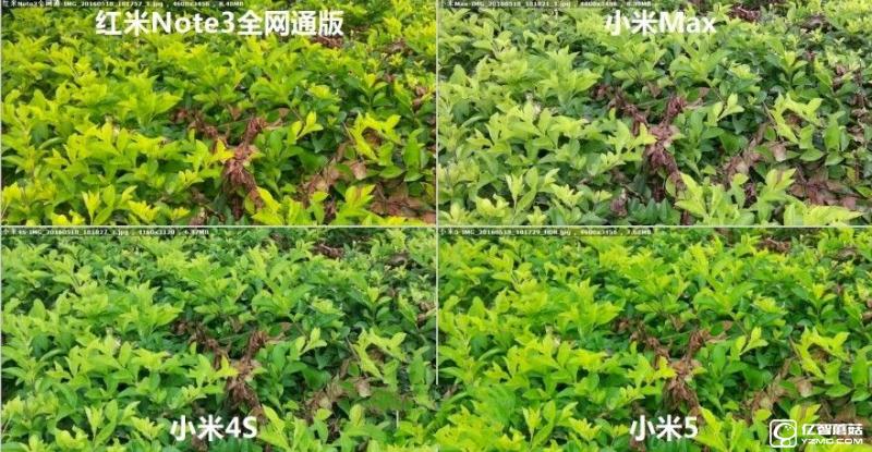 小米5/小米Max/紅米Note3全網通版/小米4s拍照對比評測