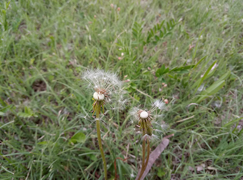 樂2和魅藍note3拍照樣張對比