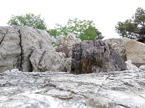 樂2和魅藍note3拍照樣張對比