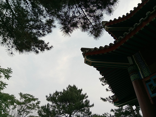 樂2和魅藍note3拍照樣張對比