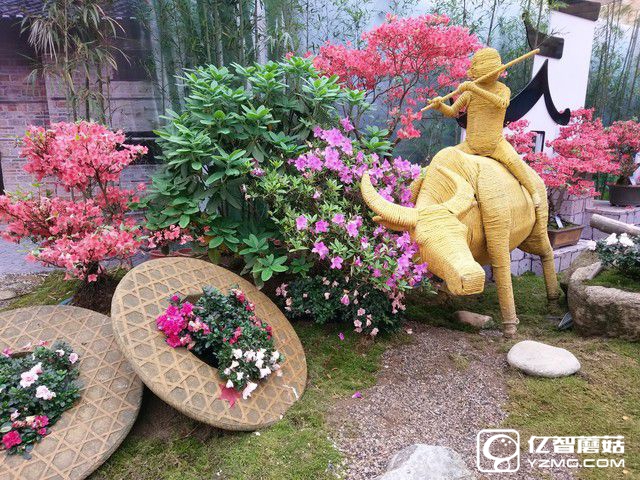 拿什么重拾信仰 HTC 10 lifestyle評(píng)測(cè) 