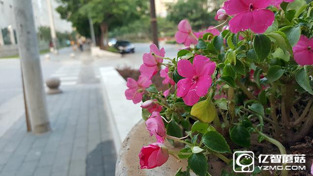 中興AXON天機7評測:進步的不只有型號