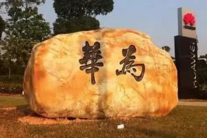 從深圳到東莞：一位華為10年老員工的自白