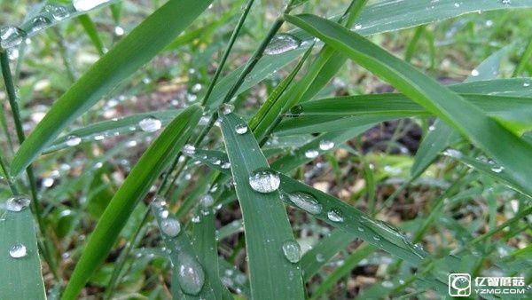 1799元!聯想5寸旗艦ZUK Z2評測:驍龍820加持