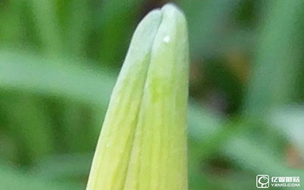 1799元!聯想5寸旗艦ZUK Z2評測:驍龍820加持