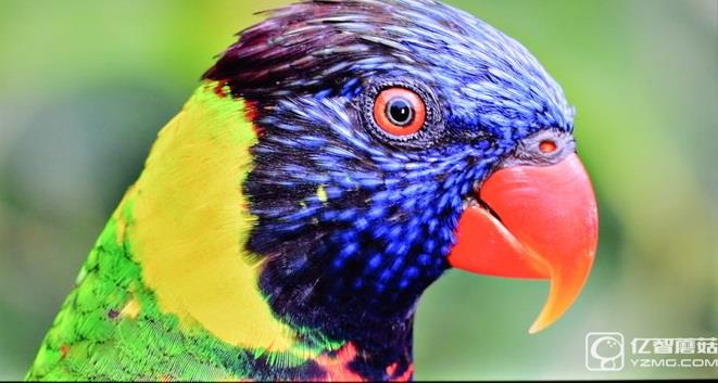 畫質如何?實測解析