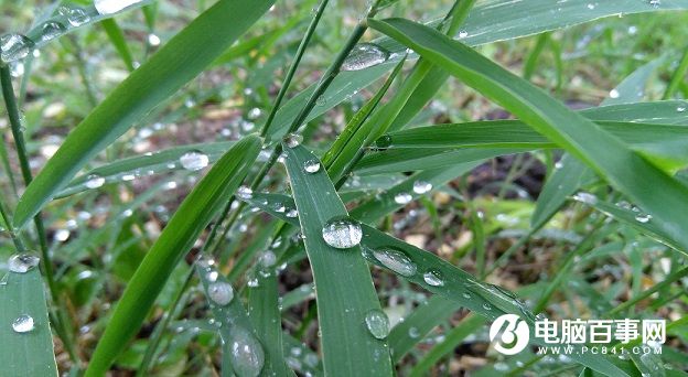 ZUK Z2拍照樣張圖賞