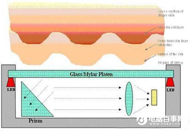 為啥濕手不能解鎖?解析手機(jī)指紋識(shí)別原理