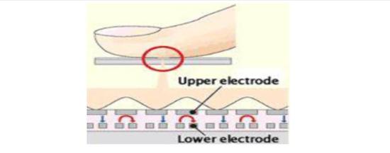 為啥濕手不能解鎖?解析手機(jī)指紋識(shí)別原理