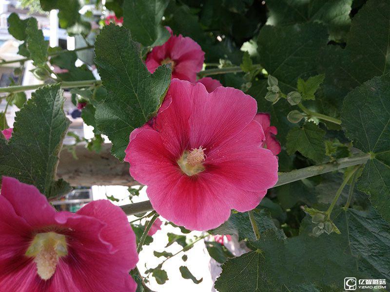 完美詮釋“體驗為王” 360手機N4評測