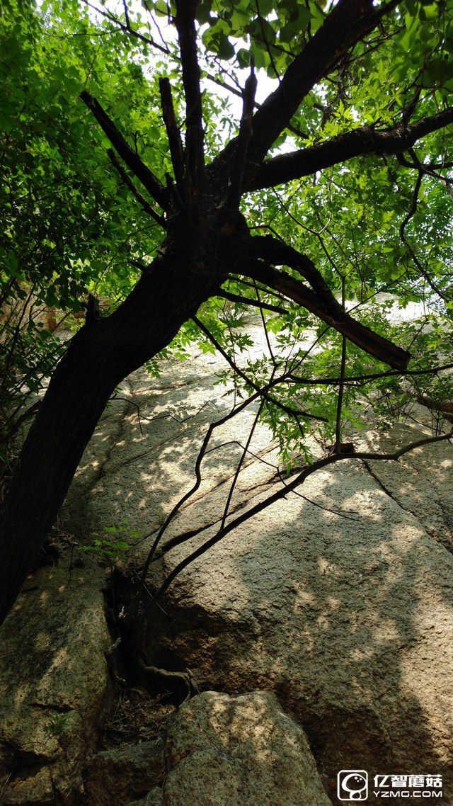 2000萬像素體驗(yàn) 中興天機(jī)7拍照專項(xiàng)評(píng)測(cè)